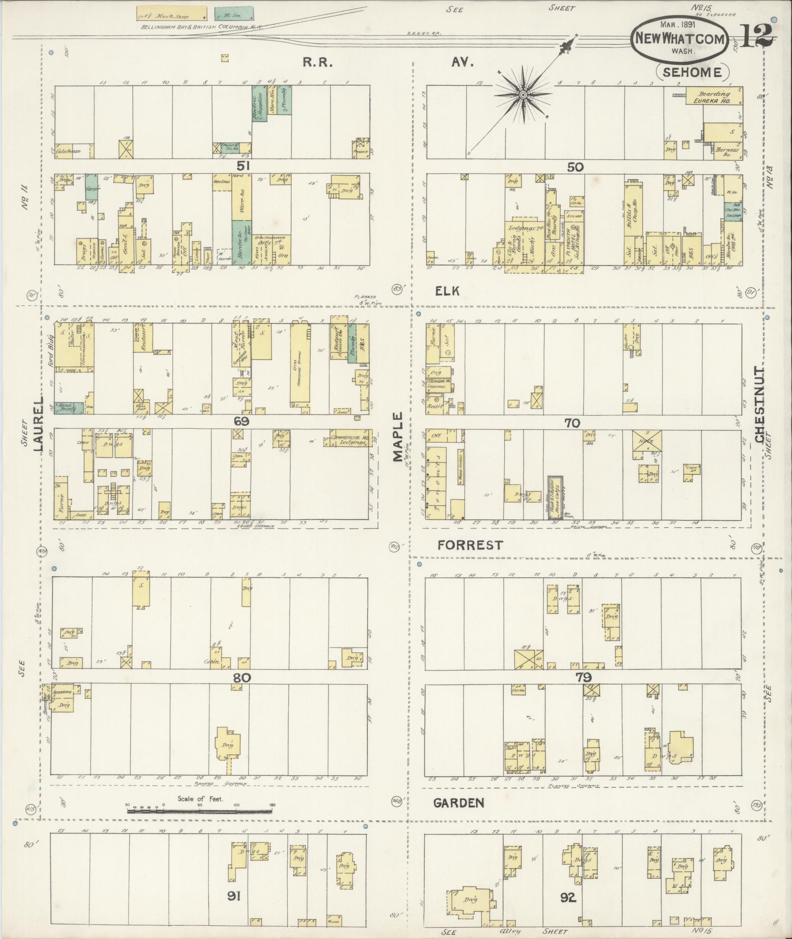Sanborn Fire Insurance Map from New Whatcom, Whatcom County, Washington (1891), Sheet #0012 - Historic Sanborn Fire Insurance Map Print, vintage old map wall art, antique decor, genealogy gift, Washington Washington map
