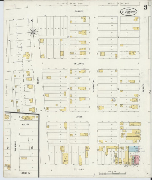 Sanborn Fire Insurance Map from Dickinson, Stark County, North Dakota (1898), Sheet #0003 - Historic Sanborn Fire Insurance Map Print, vintage old map wall art, antique decor, genealogy gift, North Dakota North Dakota map