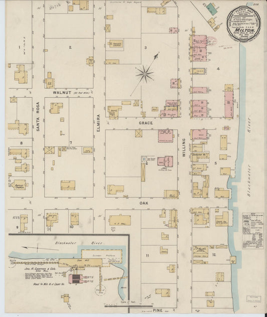 Sanborn Fire Insurance Map from Milton, Santa Rosa County, Florida (1895), Sheet #0001 - Historic Sanborn Fire Insurance Map Print, vintage old map wall art, antique decor, genealogy gift, Florida Florida map