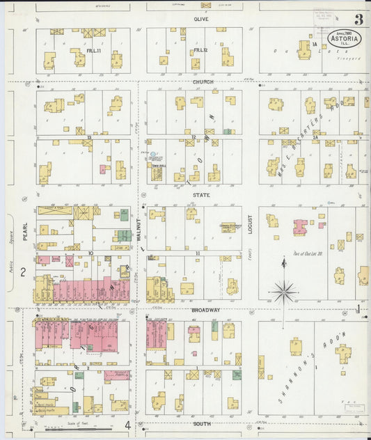 Sanborn Fire Insurance Map from Astoria, Fulton County, Illinois (1900), Sheet #0003 - Historic Sanborn Fire Insurance Map Print, vintage old map wall art, antique decor, genealogy gift, Illinois Illinois map