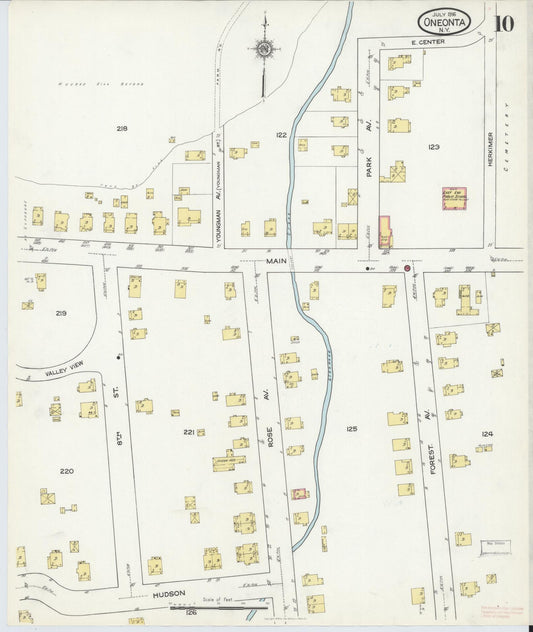 Sanborn Fire Insurance Map from Oneonta, Otsego County, New York (1916), Sheet #0010 - Historic Sanborn Fire Insurance Map Print, vintage old map wall art, antique decor, genealogy gift, New York New York map