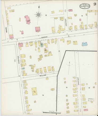 Sanborn Fire Insurance Map from Princeton, Mercer County, New Jersey (1895), Sheet #0009 - Complete Map Set gallery image, historic Sanborn map, vintage wall art, New Jersey New Jersey