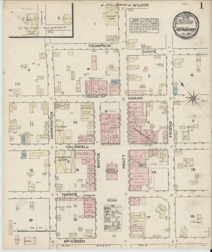 Sanborn Fire Insurance Map from Newberry, Newberry County, South Carolina (1884), Sheet #0001 - Complete Map Set gallery image, historic Sanborn map, vintage wall art, South Carolina South Carolina