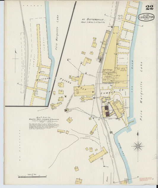 Sanborn Fire Insurance Map from Ludington, Mason County, Michigan (1895), Sheet #0022 - Historic Sanborn Fire Insurance Map Print, vintage old map wall art, antique decor, genealogy gift, Michigan Michigan map