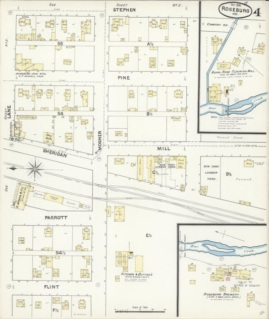 Sanborn Fire Insurance Map from Roseburg, Douglas County, Oregon (1890), Sheet #0004 - Historic Sanborn Fire Insurance Map Print, vintage old map wall art, antique decor, genealogy gift, Oregon Oregon map
