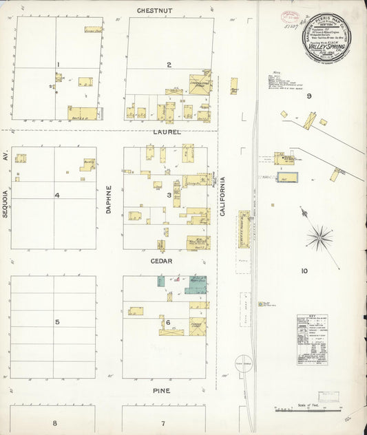 Sanborn Fire Insurance Map from Valley Spring, Calaveras County, California. (1895) – Historic Sanborn Fire Insurance Map Print