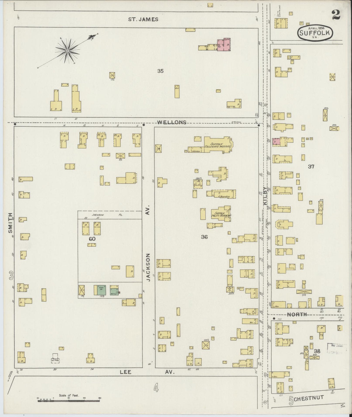 Sanborn Fire Insurance Map from Suffolk, Independent Cities, Virginia (1894), Sheet #0002 - Historic Sanborn Fire Insurance Map Print, vintage old map wall art, antique decor, genealogy gift, Virginia Virginia map