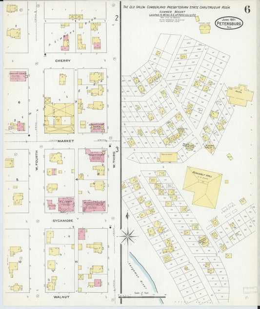 Sanborn Fire Insurance Map from Petersburg, Menard County, Illinois (1909), Sheet #0006 - Historic Sanborn Fire Insurance Map Print, vintage old map wall art, antique decor, genealogy gift, Illinois Illinois map