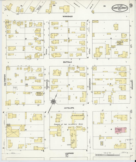Sanborn Fire Insurance Map from Corpus Christi, Nueces County, Texas (1909), Sheet #0009 - Historic Sanborn Fire Insurance Map Print, vintage old map wall art, antique decor, genealogy gift, Texas Texas map