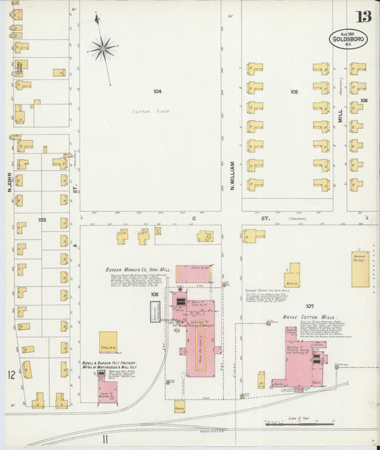 Sanborn Fire Insurance Map from Goldsboro, Wayne County, North Carolina (1901), Sheet #0013 - Historic Sanborn Fire Insurance Map Print, vintage old map wall art, antique decor, genealogy gift, North Carolina North Carolina map