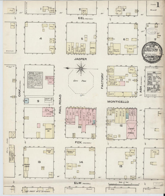 Sanborn Fire Insurance Map from Covington, Newton County, Georgia (1884), Sheet #0001 - Complete Map Set gallery image, historic Sanborn map, vintage wall art, Georgia Georgia
