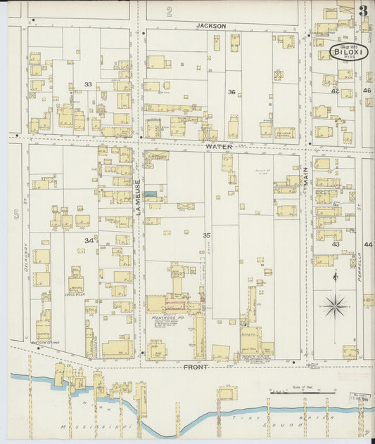 Sanborn Fire Insurance Map from Biloxi, Harrison County, Mississippi (1893), Sheet #0003 - Historic Sanborn Fire Insurance Map Print, vintage old map wall art, antique decor, genealogy gift, Mississippi Mississippi map