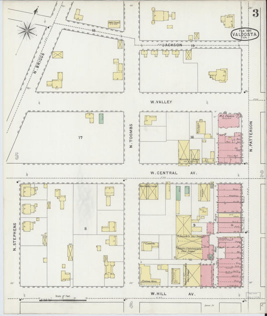 Sanborn Fire Insurance Map from Valdosta, Lowndes County, Georgia (1895), Sheet #0003 - Historic Sanborn Fire Insurance Map Print, vintage old map wall art, antique decor, genealogy gift, Georgia Georgia map