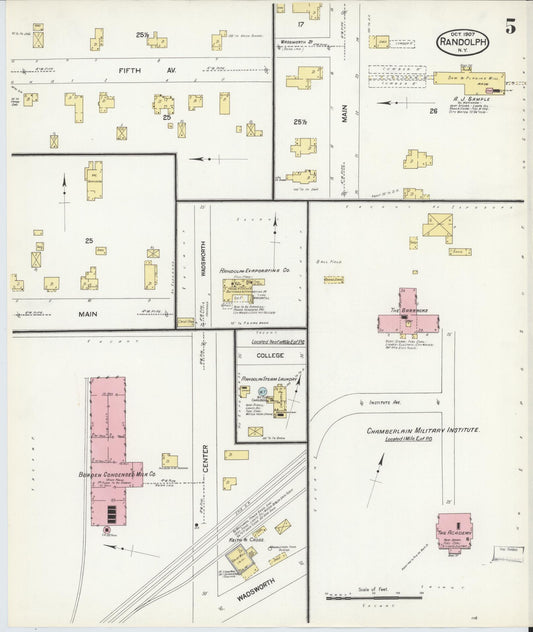 Sanborn Fire Insurance Map from Randolph, Cattaraugus County, New York (1907), Sheet #0005 - Historic Sanborn Fire Insurance Map Print, vintage old map wall art, antique decor, genealogy gift, New York New York map