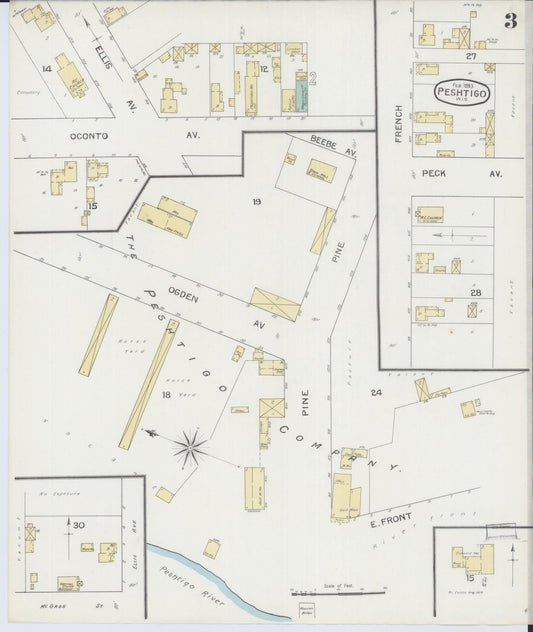 Sanborn Fire Insurance Map from Peshtigo, Marinette County, Wisconsin (1893), Sheet #0003 - Historic Sanborn Fire Insurance Map Print, vintage old map wall art, antique decor, genealogy gift, Wisconsin Wisconsin map