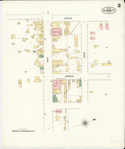 Sanborn Fire Insurance Map from Salmon City, Lemhi County, Idaho (1901), Sheet #0002 - Complete Map Set gallery image, historic Sanborn map, vintage wall art, Idaho Idaho