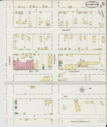 Sanborn Fire Insurance Map from Assumption, Christian County, Illinois (1893), Sheet #0003 - Complete Map Set gallery image, historic Sanborn map, vintage wall art, Illinois Illinois