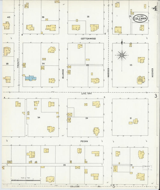 Sanborn Fire Insurance Map from Coleman, Coleman County, Texas (1904), Sheet #0004 - Historic Sanborn Fire Insurance Map Print, vintage old map wall art, antique decor, genealogy gift, Texas Texas map