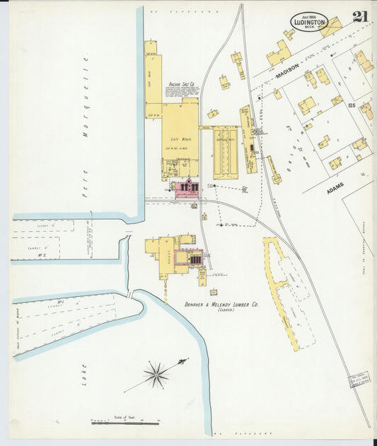 Sanborn Fire Insurance Map from Ludington, Mason County, Michigan (1900), Sheet #0021 - Historic Sanborn Fire Insurance Map Print, vintage old map wall art, antique decor, genealogy gift, Michigan Michigan map
