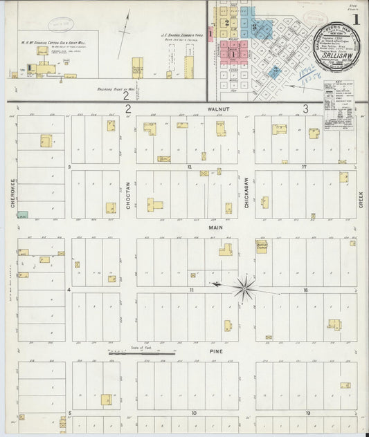 Sanborn Fire Insurance Map from Sallisaw, Sequoyah County, Oklahoma (1899), Sheet #0001 - Historic Sanborn Fire Insurance Map Print, vintage old map wall art, antique decor, genealogy gift, Oklahoma Oklahoma map