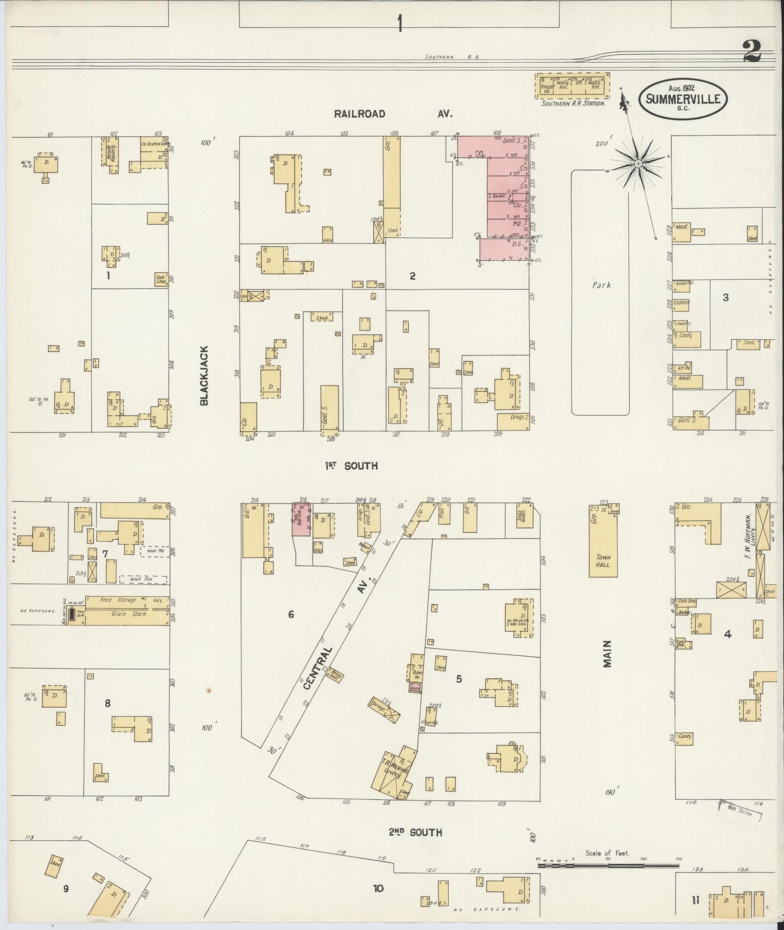 Sanborn Fire Insurance Map from Summerville, Dorchester County, South Carolina (1902), Sheet #0002 - Historic Sanborn Fire Insurance Map Print, vintage old map wall art, antique decor, genealogy gift, South Carolina South Carolina map