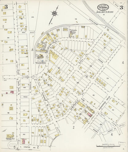Sanborn Fire Insurance Map from Sebring, Highlands County, Florida (1924), Sheet #0003 - Historic Sanborn Fire Insurance Map Print, vintage old map wall art, antique decor, genealogy gift, Florida Florida map