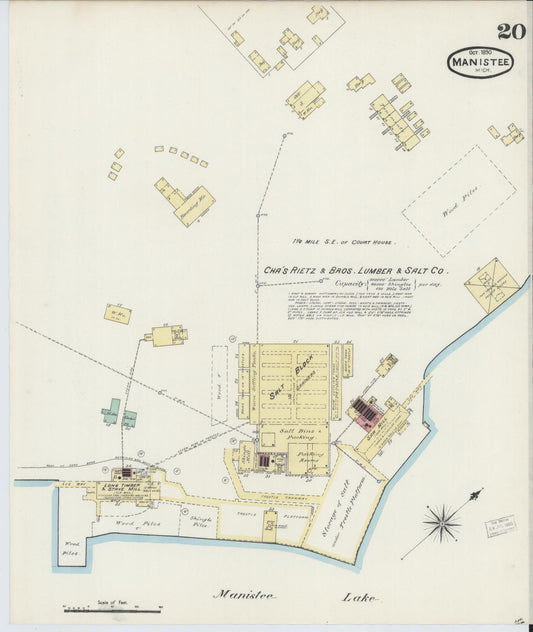 Sanborn Fire Insurance Map from Manistee, Manistee County, Michigan (1890), Sheet #0020 - Historic Sanborn Fire Insurance Map Print, vintage old map wall art, antique decor, genealogy gift, Michigan Michigan map