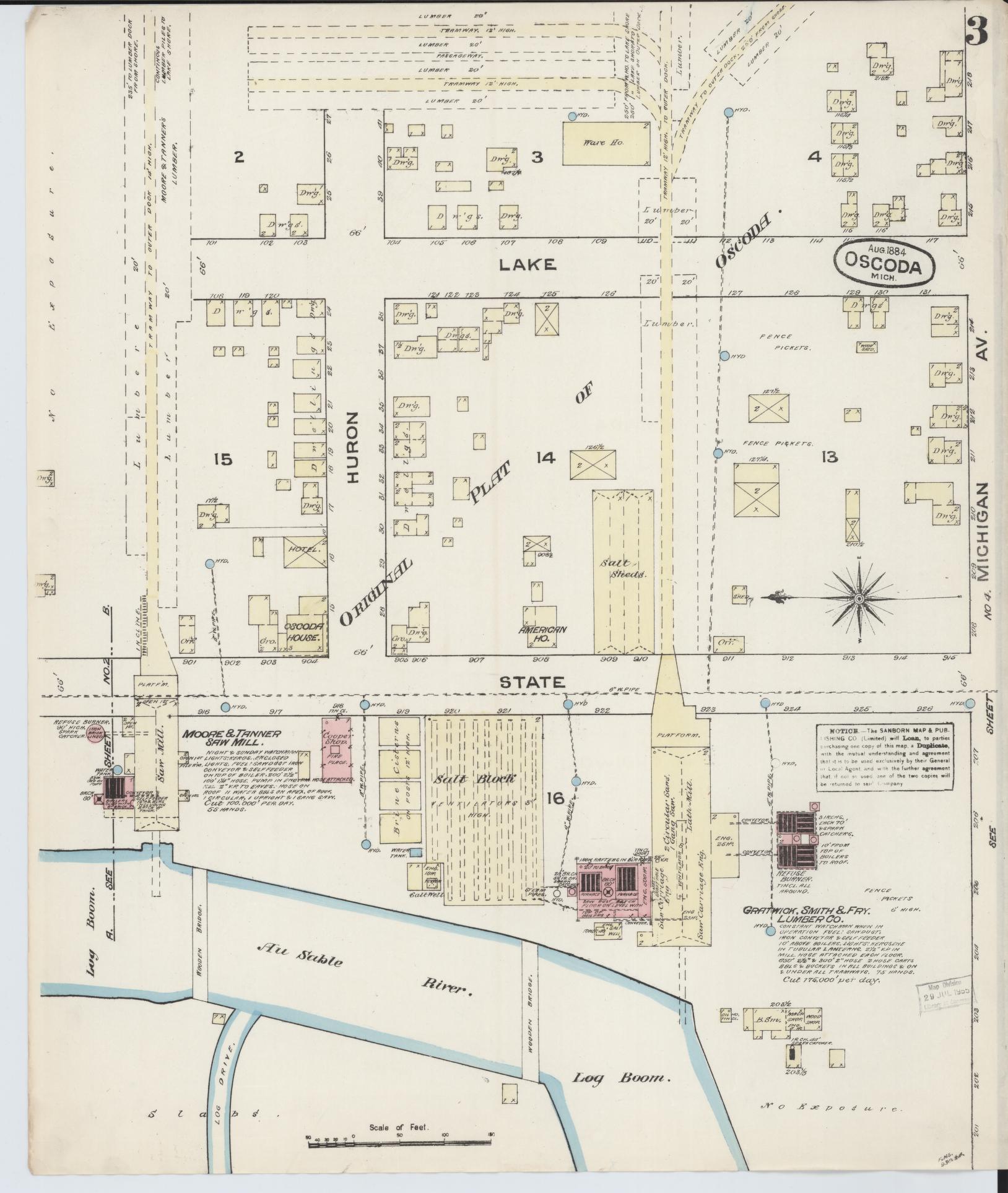 Sanborn Fire Insurance Map from Oscoda, Iosco County, Michigan (1884), Sheet #0003 - Historic Sanborn Fire Insurance Map Print, vintage old map wall art, antique decor, genealogy gift, Michigan Michigan map