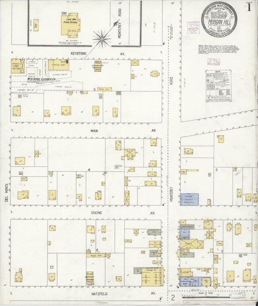 Sanborn Fire Insurance Map from Morgan Hill, Santa Clara County, California (1908), Sheet #0001 - Historic Sanborn Fire Insurance Map Print, vintage old map wall art, antique decor, genealogy gift, California California map