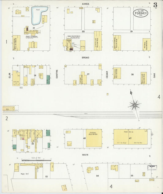 Sanborn Fire Insurance Map from Forney, Kaufman County, Texas (1901), Sheet #0003 - Historic Sanborn Fire Insurance Map Print, vintage old map wall art, antique decor, genealogy gift, Texas Texas map