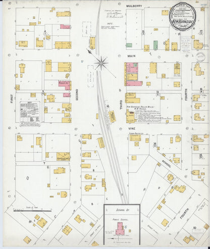 Sanborn Fire Insurance Map from New Burnside, Johnson County, Illinois (1900), Sheet #0001 - Historic Sanborn Fire Insurance Map Print, vintage old map wall art, antique decor, genealogy gift, Illinois Illinois map