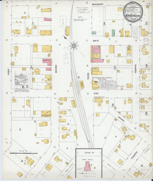 Sanborn Fire Insurance Map from New Burnside, Johnson County, Illinois (1900), Sheet #0001 - Historic Sanborn Fire Insurance Map Print, vintage old map wall art, antique decor, genealogy gift, Illinois Illinois map