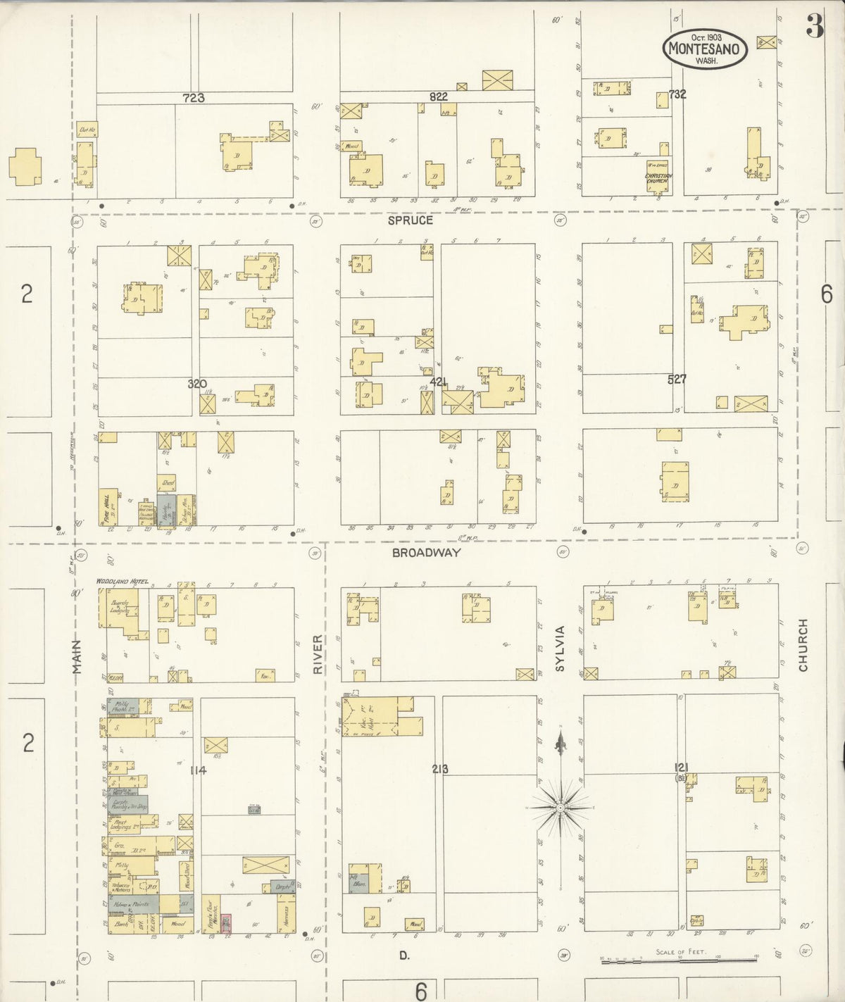 Sanborn Fire Insurance Map from Montesano, Grays Harbor County, Washington (1903), Sheet #0003 - Historic Sanborn Fire Insurance Map Print, vintage old map wall art, antique decor, genealogy gift, Washington Washington map