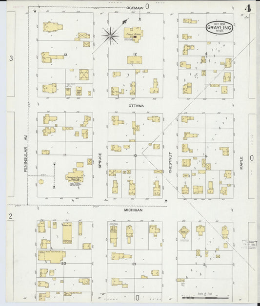 Sanborn Fire Insurance Map from Grayling, Crawford County, Michigan (1900), Sheet #0004 - Historic Sanborn Fire Insurance Map Print, vintage old map wall art, antique decor, genealogy gift, Michigan Michigan map