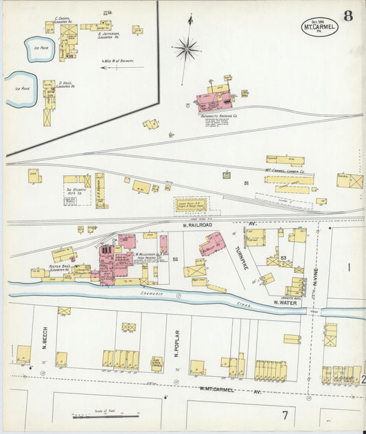 Sanborn Fire Insurance Map from Mount Carmel, Northumberland County, Pennsylvania (1901), Sheet #0008 - Historic Sanborn Fire Insurance Map Print, vintage old map wall art, antique decor, genealogy gift, Pennsylvania Pennsylvania map