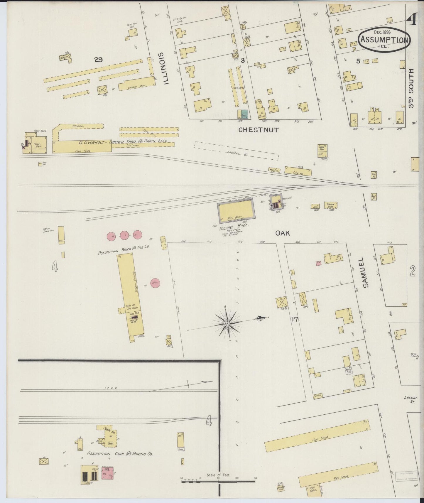 Sanborn Fire Insurance Map from Assumption, Christian County, Illinois (1893), Sheet #0004 - Historic Sanborn Fire Insurance Map Print, vintage old map wall art, antique decor, genealogy gift, Illinois Illinois map