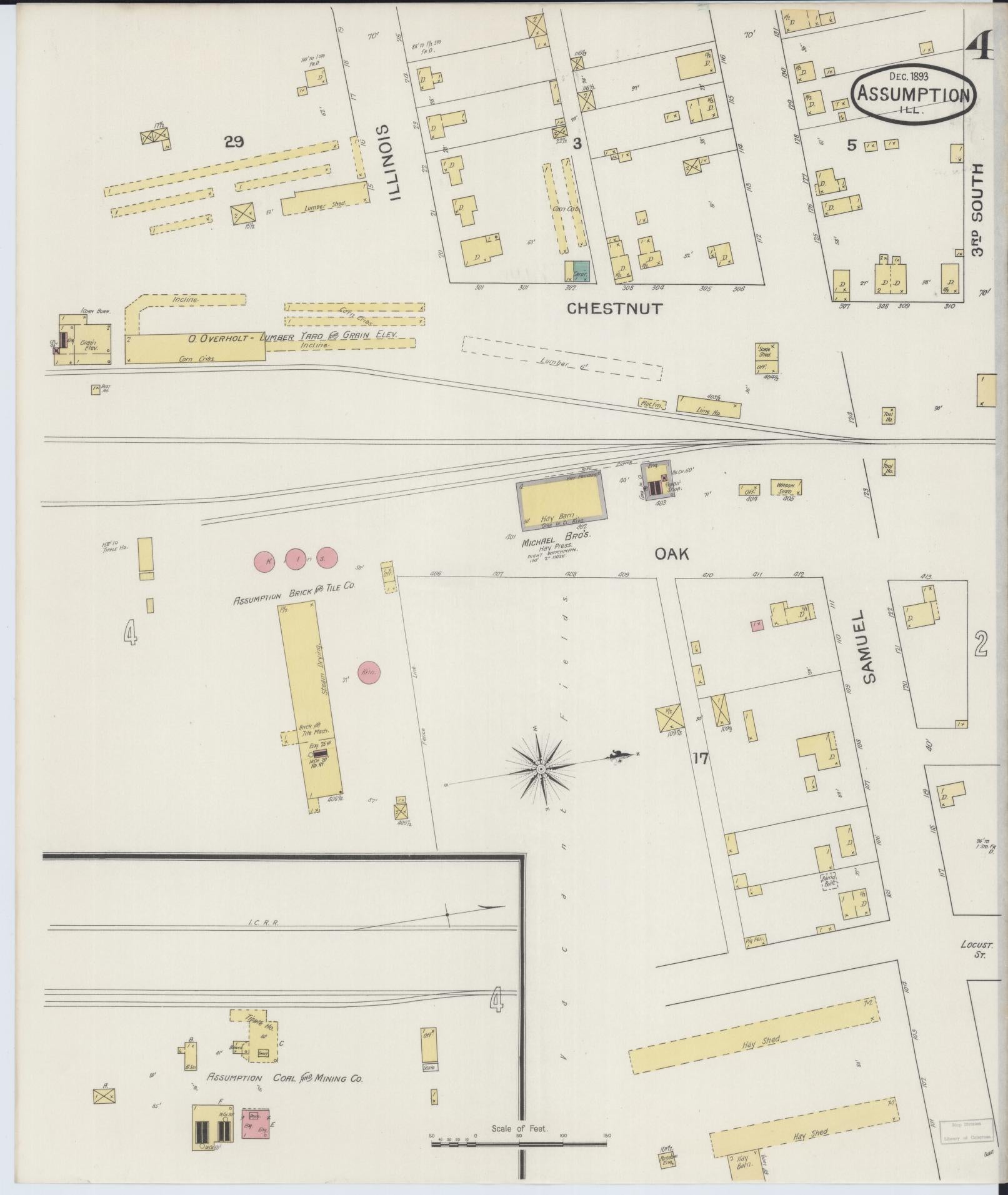 Sanborn Fire Insurance Map from Assumption, Christian County, Illinois (1893), Sheet #0004 - Historic Sanborn Fire Insurance Map Print, vintage old map wall art, antique decor, genealogy gift, Illinois Illinois map