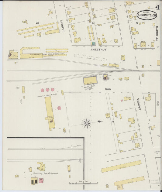Sanborn Fire Insurance Map from Assumption, Christian County, Illinois (1893), Sheet #0004 - Historic Sanborn Fire Insurance Map Print, vintage old map wall art, antique decor, genealogy gift, Illinois Illinois map