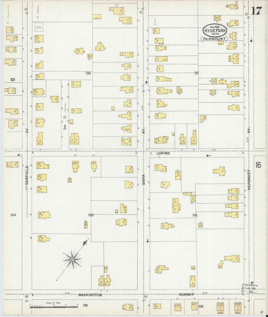Sanborn Fire Insurance Map from Hyde Park, Norfolk County, Massachusetts (1900), Sheet #0017 - Historic Sanborn Fire Insurance Map Print, vintage old map wall art, antique decor, genealogy gift, Massachusetts Massachusetts map