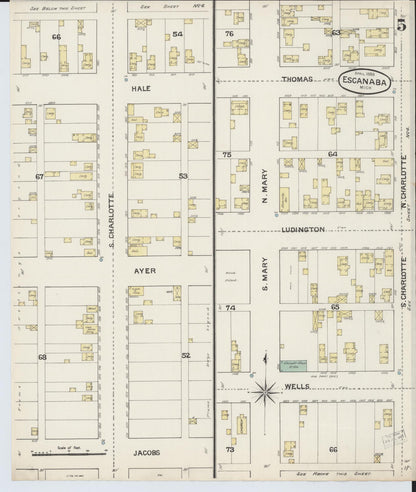 Sanborn Fire Insurance Map from Escanaba, Delta County, Michigan (1888), Sheet #0005 - Historic Sanborn Fire Insurance Map Print, vintage old map wall art, antique decor, genealogy gift, Michigan Michigan map