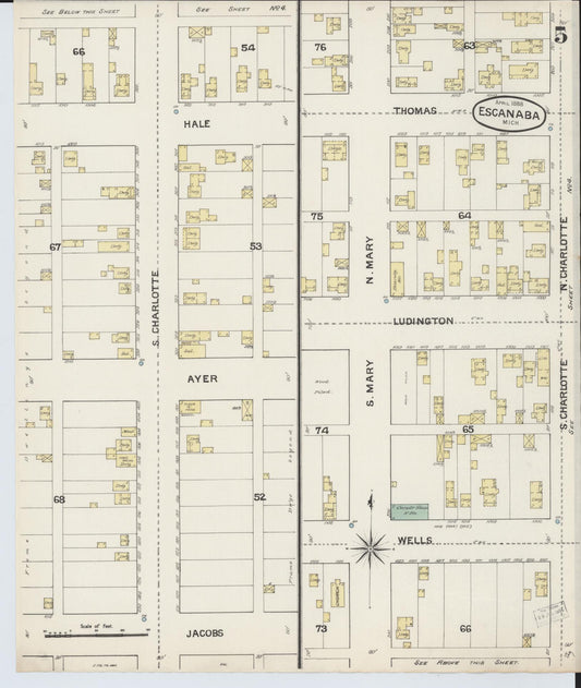 Sanborn Fire Insurance Map from Escanaba, Delta County, Michigan (1888), Sheet #0005 - Historic Sanborn Fire Insurance Map Print, vintage old map wall art, antique decor, genealogy gift, Michigan Michigan map