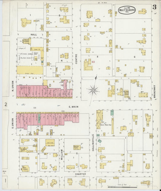 Sanborn Fire Insurance Map from Whitesboro, Grayson County, Texas (1896), Sheet #0003 - Historic Sanborn Fire Insurance Map Print, vintage old map wall art, antique decor, genealogy gift, Texas Texas map
