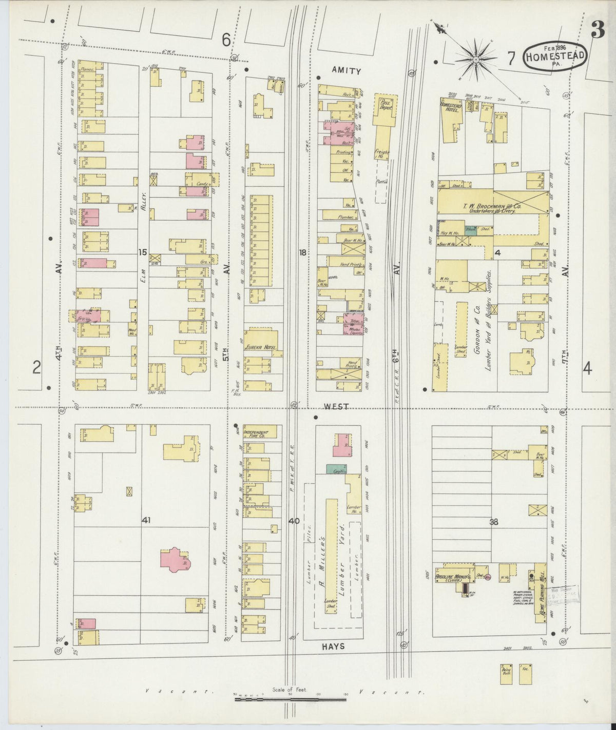 Sanborn Fire Insurance Map from Homestead, Allegheny County, Pennsylvania (1896), Sheet #0003 - Historic Sanborn Fire Insurance Map Print, vintage old map wall art, antique decor, genealogy gift, Pennsylvania Pennsylvania map