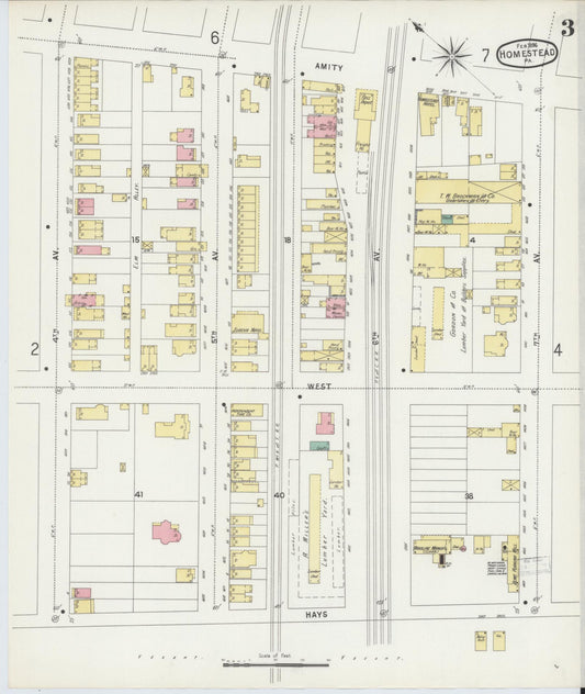 Sanborn Fire Insurance Map from Homestead, Allegheny County, Pennsylvania (1896), Sheet #0003 - Historic Sanborn Fire Insurance Map Print, vintage old map wall art, antique decor, genealogy gift, Pennsylvania Pennsylvania map