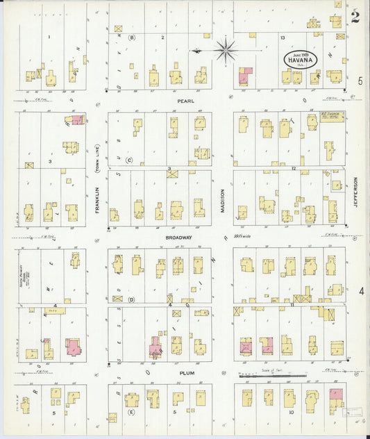 Sanborn Fire Insurance Map from Havana, Mason County, Illinois (1909), Sheet #0002 - Historic Sanborn Fire Insurance Map Print, vintage old map wall art, antique decor, genealogy gift, Illinois Illinois map