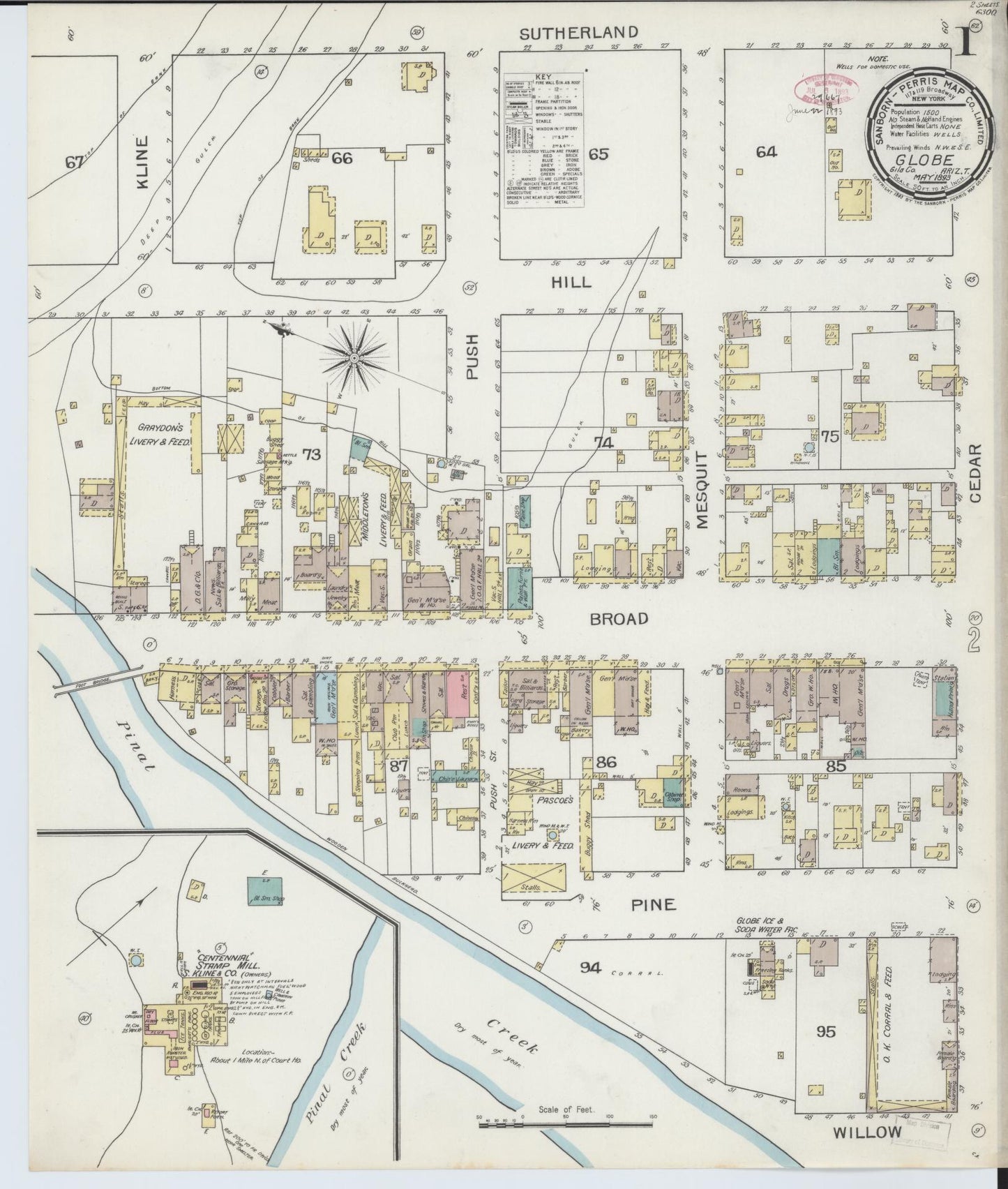 Sanborn Fire Insurance Map from Globe, Gila County, Arizona (1893), Sheet #0001 - Historic Sanborn Fire Insurance Map Print, vintage old map wall art, antique decor, genealogy gift, Arizona Arizona map