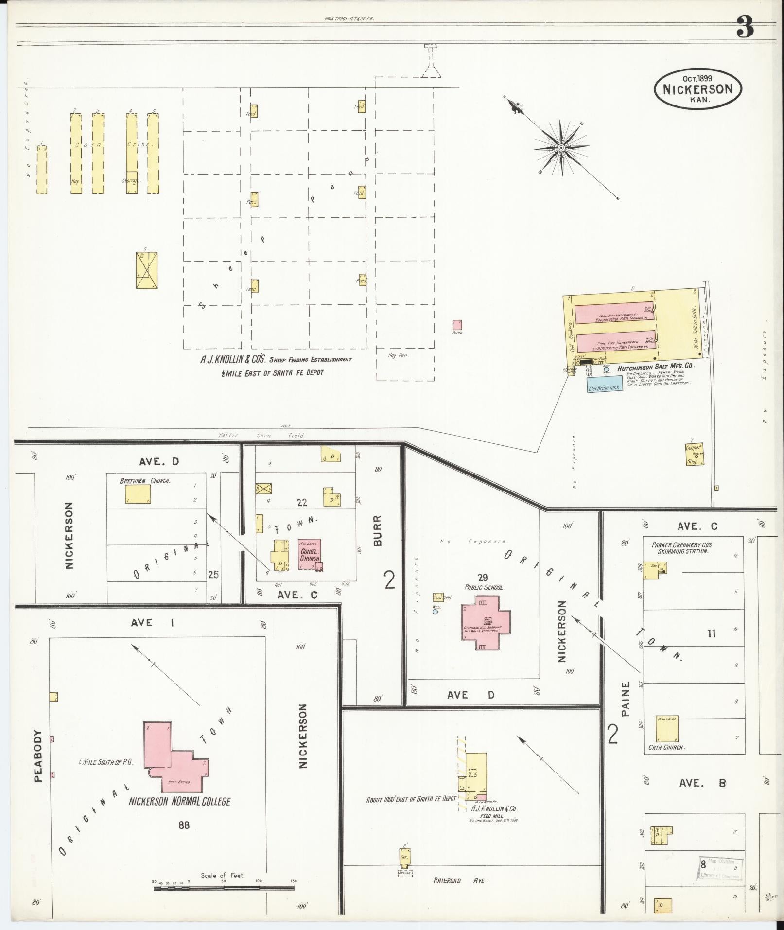 Sanborn Fire Insurance Map from Nickerson, Reno County, Kansas (1899), Sheet #0003 - Historic Sanborn Fire Insurance Map Print, vintage old map wall art, antique decor, genealogy gift, Kansas Kansas map