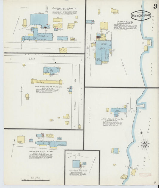 Sanborn Fire Insurance Map from Hammondsport, Steuben County, New York (1893), Sheet #0003 - Historic Sanborn Fire Insurance Map Print, vintage old map wall art, antique decor, genealogy gift, New York New York map