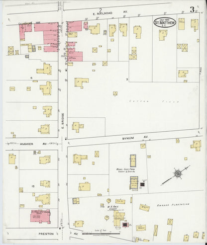 Sanborn Fire Insurance Map from Saint Matthews, Calhoun County, South Carolina (1920), Sheet #0003 - Complete Map Set gallery image, historic Sanborn map, vintage wall art, South Carolina South Carolina