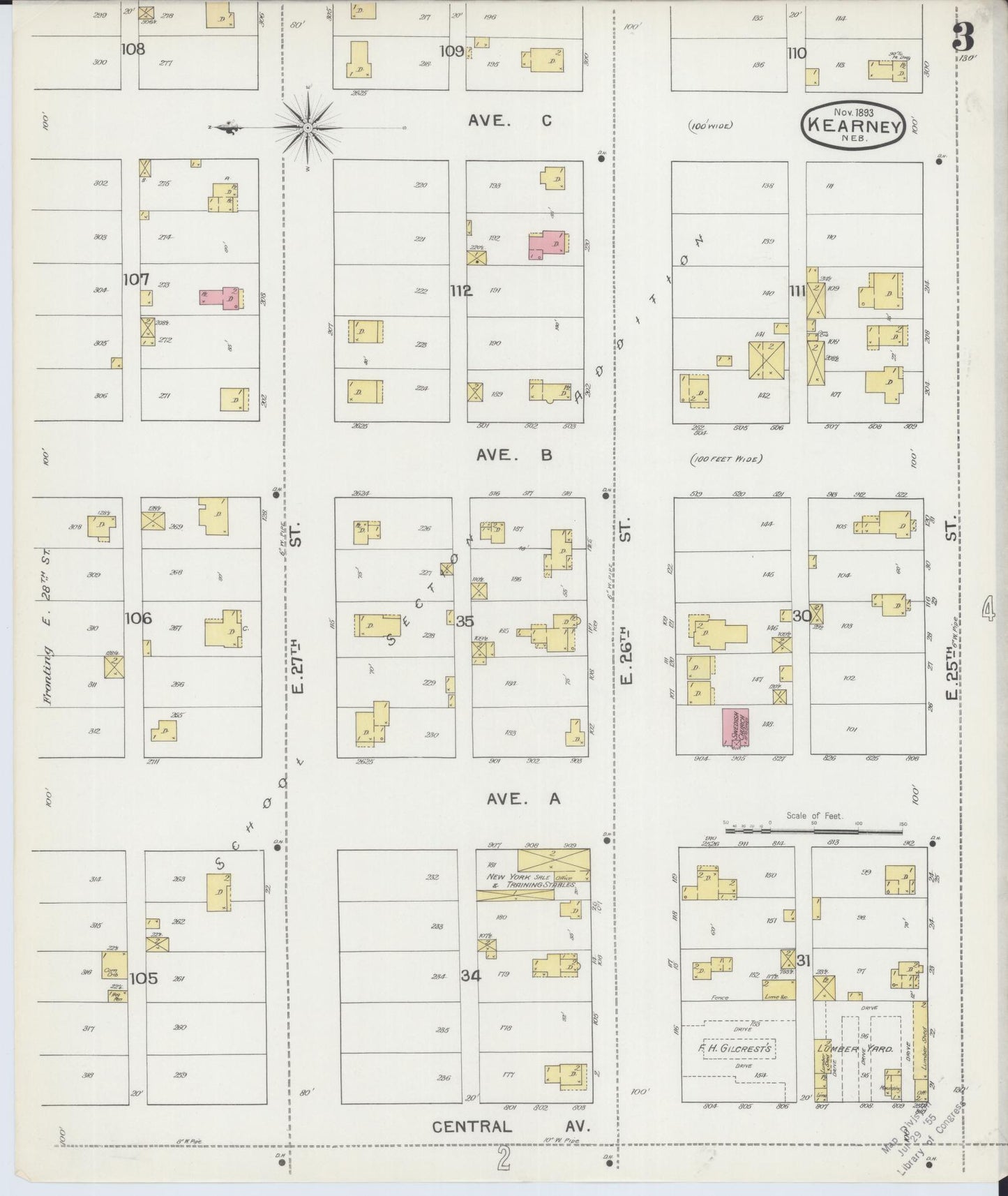Sanborn Fire Insurance Map from Kearney, Buffalo County, Nebraska (1893), Sheet #0003 - Historic Sanborn Fire Insurance Map Print, vintage old map wall art, antique decor, genealogy gift, Nebraska Nebraska map
